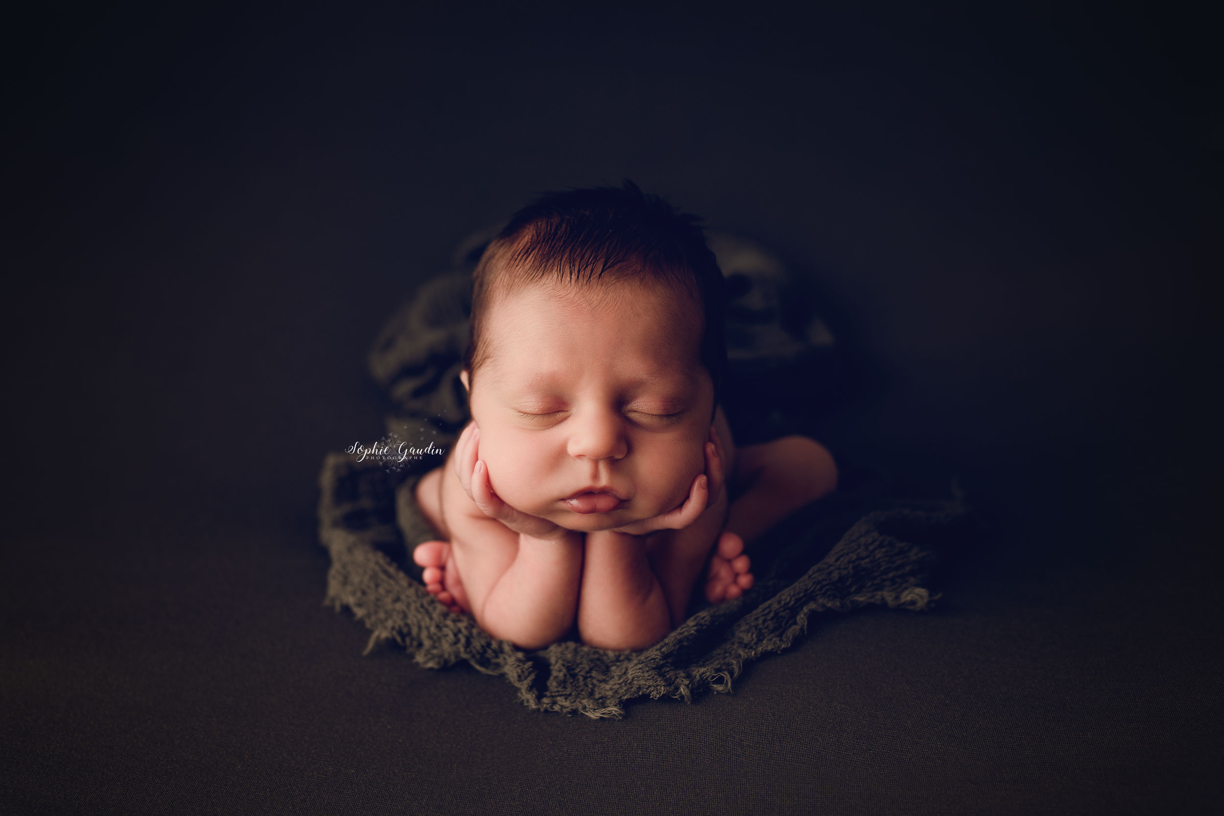 photo-bebe-newborn-posing